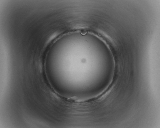 X0000114061306200910051208
