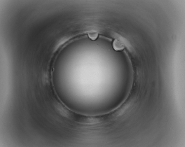 X0000114061308200910051208