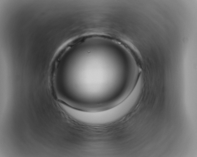 X0000114061312200910051208