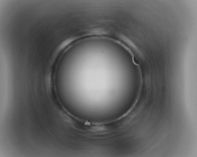 X0000114061315200910051208