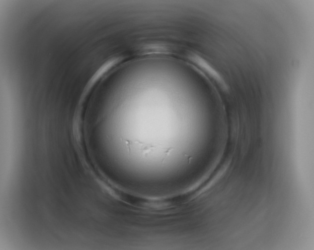 X0000114061325200910051208