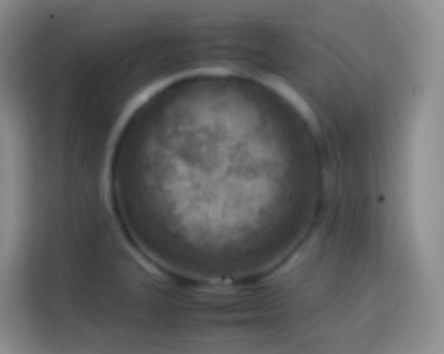 X0000114061327200910051208