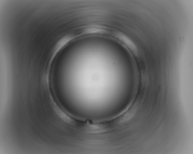 X0000114061330200910051209