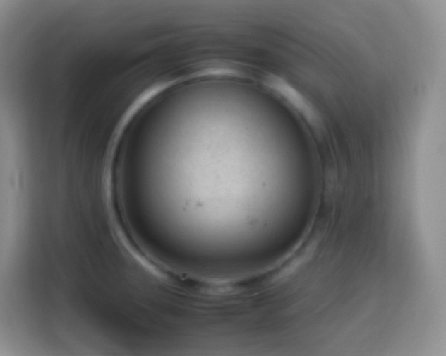 X0000114061331200910051209