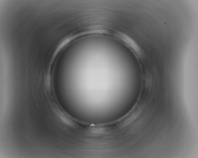 X0000114061332200910051209