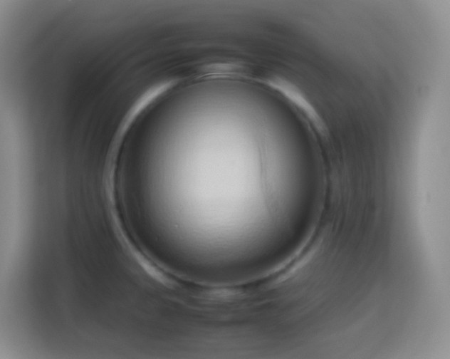 X0000114061333200910051209