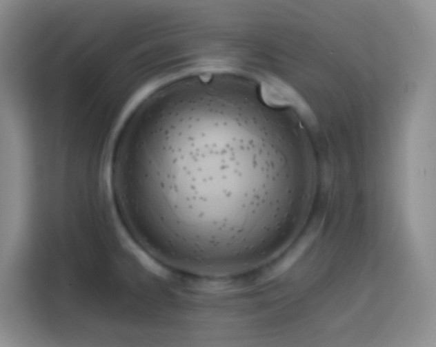 X0000114061334200910051209