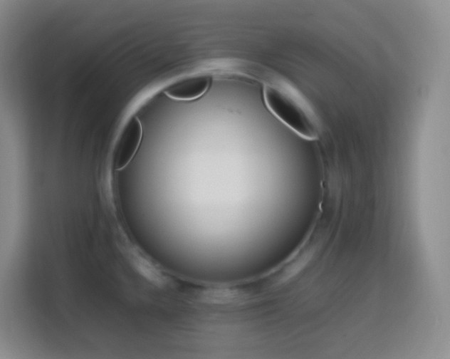 X0000114061336200910051209