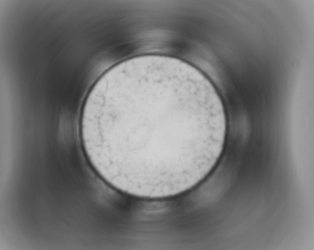 X0000114061338200910051209