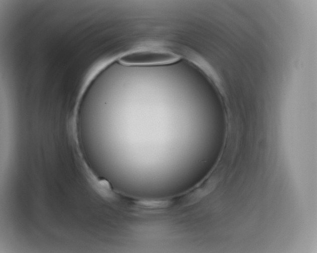 X0000114061344200910051209