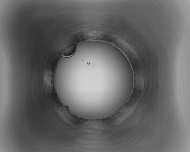 X0000114061346200910051208