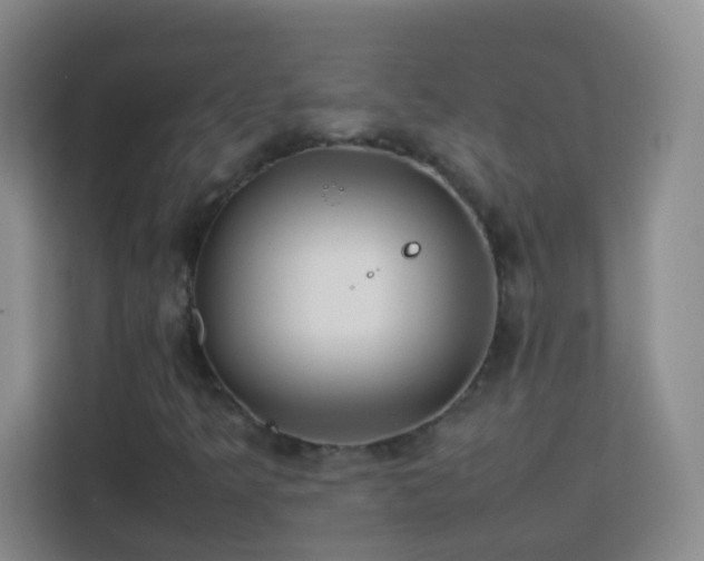 X0000114061349200910051208