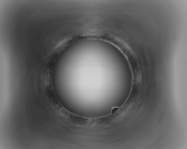 X0000114061350200910051208