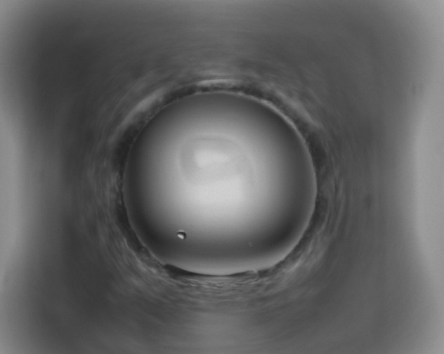 X0000114061351200910051208