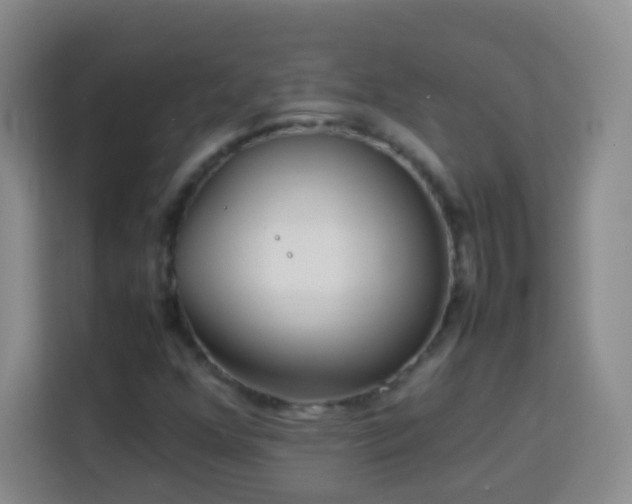 X0000114061352200910051208