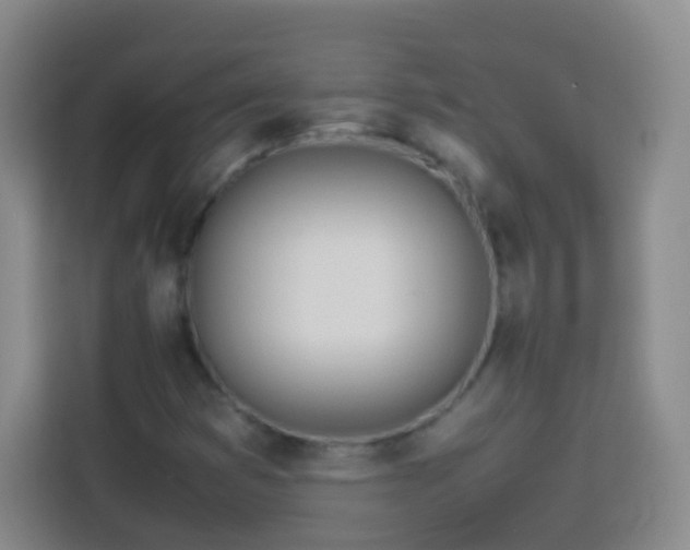 X0000114061353200910051208