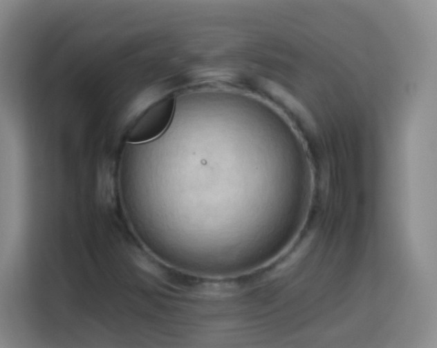 X0000114061354200910051208