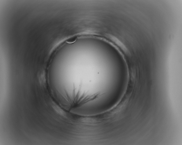X0000114061356200910051208