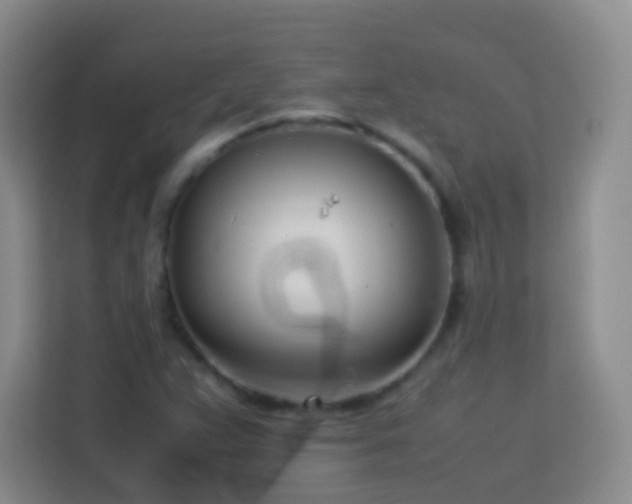X0000114061359200910051208