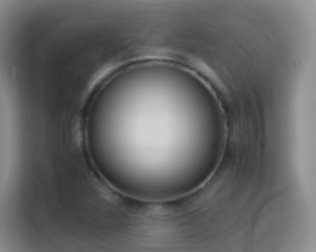 X0000114061360200910051208