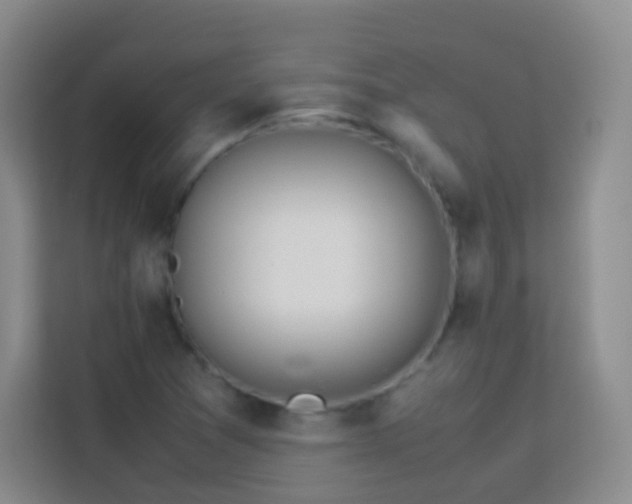 X0000114061361200910051208