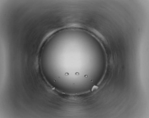 X0000114061364200910051208