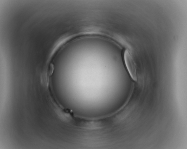 X0000114061368200910051208