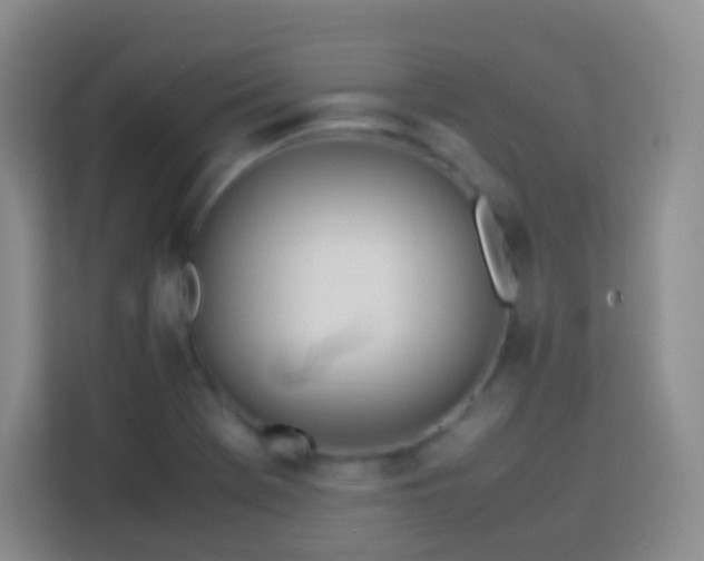 X0000114061369200910051208