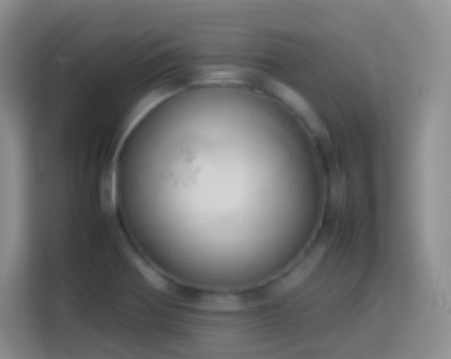 X0000114061370200910051208
