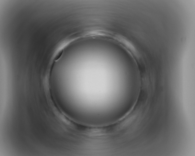 X0000114061373200910051208