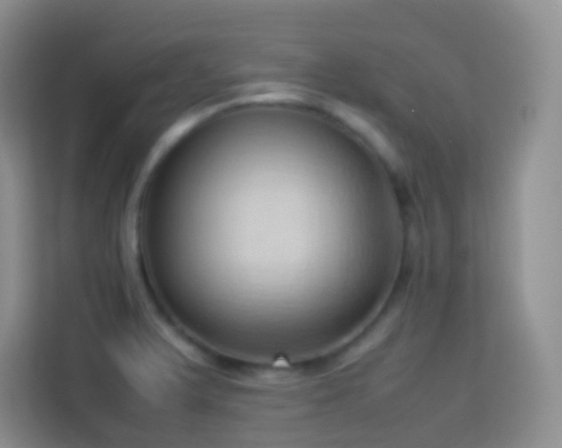 X0000114061375200910051208