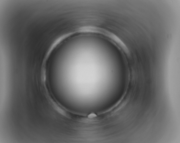 X0000114061376200910051208