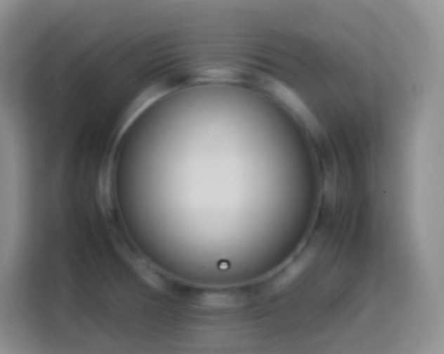 X0000114061378200910051208