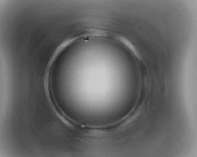 X0000114061379200910051208