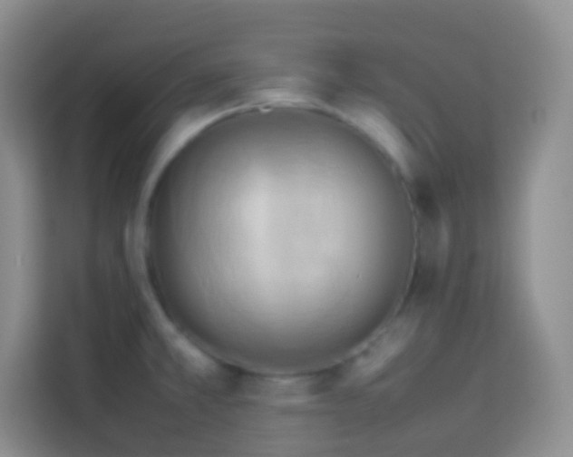 X0000114061381200910051208