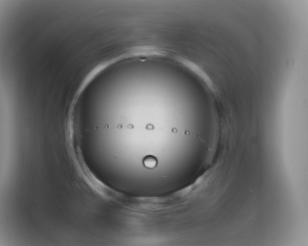 X0000114061383200910051208