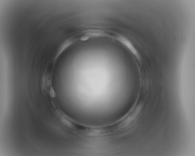 X0000114061385200910051208