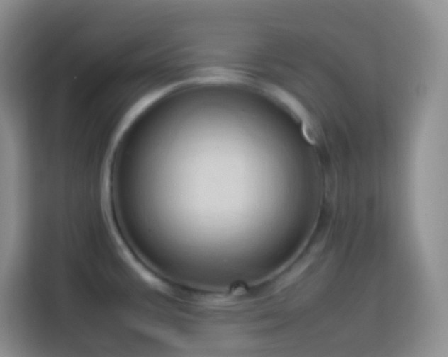 X0000114061387200910051208