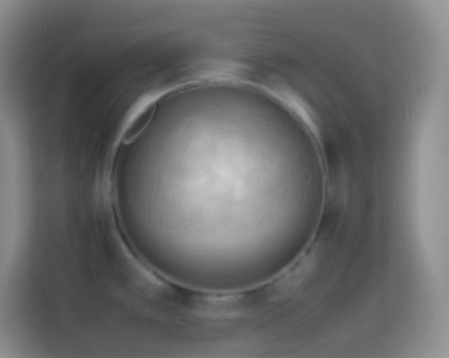 X0000114061389200910051208