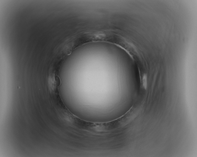 X0000114061395200910051207