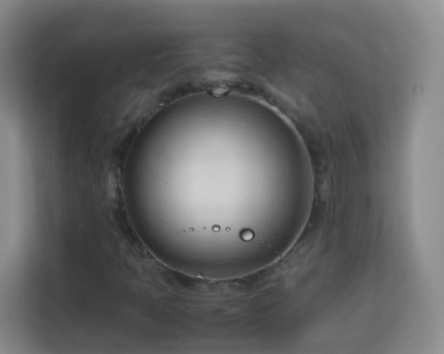 X0000114061397200910051207