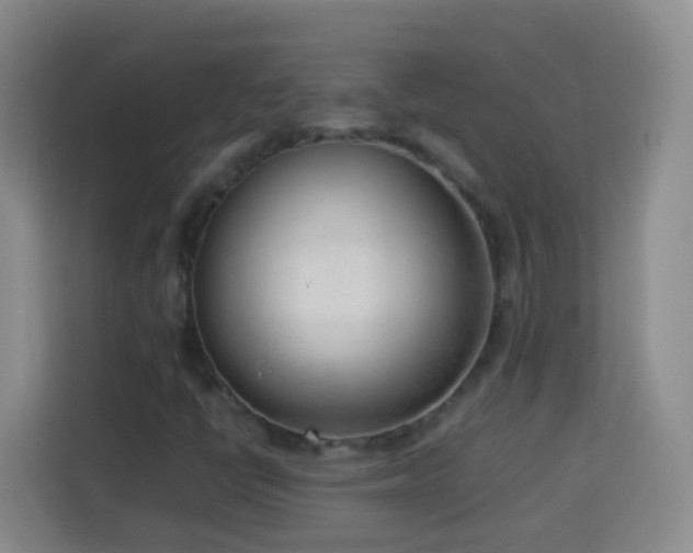 X0000114061398200910051207