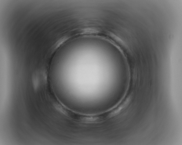 X0000114061401200910051207