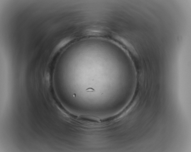 X0000114061402200910051207