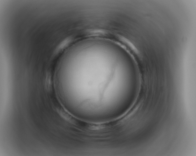 X0000114061403200910051207