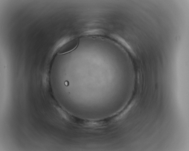 X0000114061405200910051207