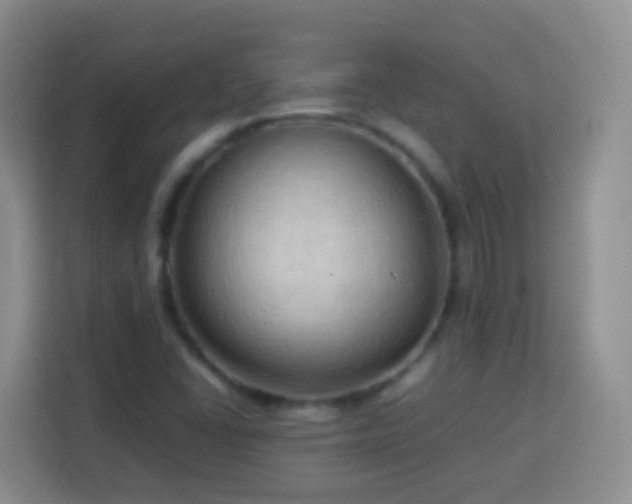 X0000114061406200910051207
