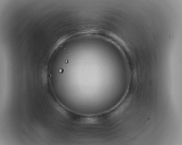 X0000114061409200910051207