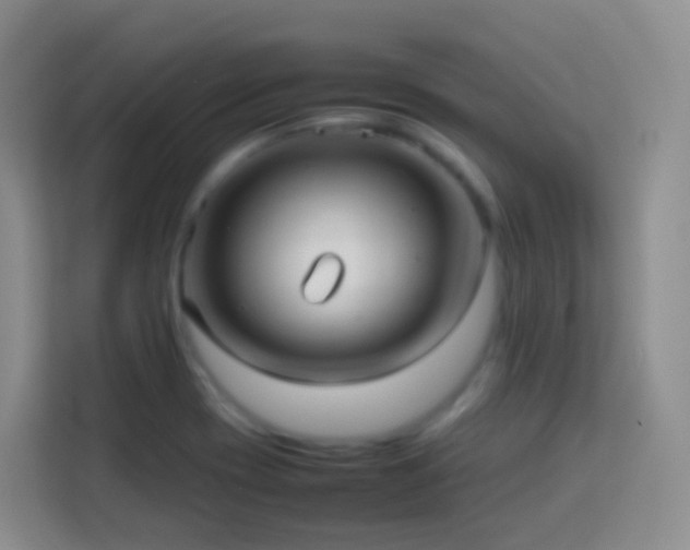 X0000114061417200910051207