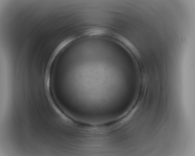 X0000114061418200910051207